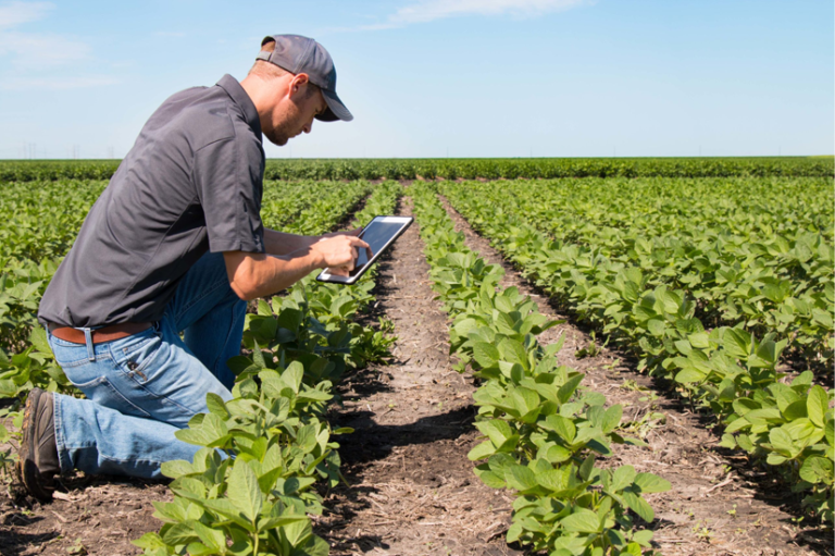 Farmer using advanced technology to monitor crops